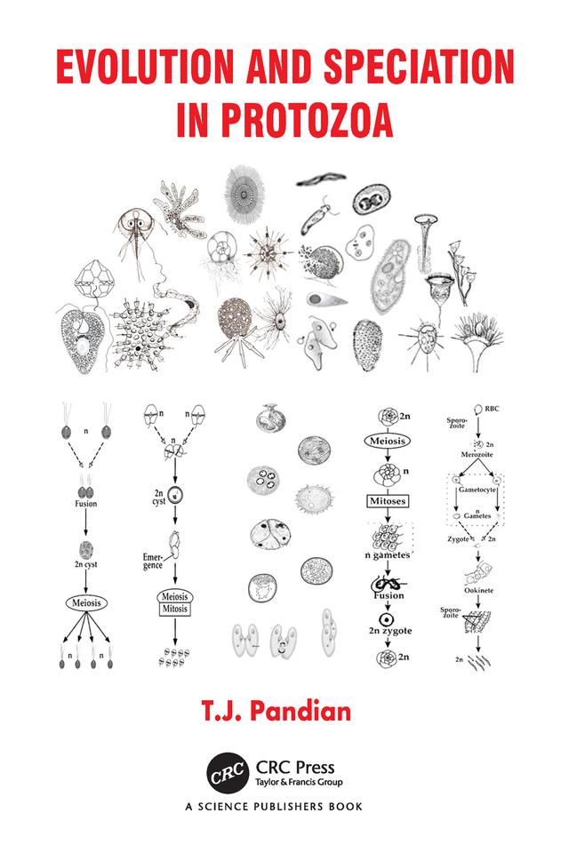 Evolution and Speciation in Protozoa by T.J. Pandian