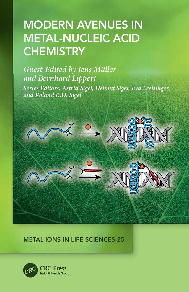 Modern Avenues in Metal-Nucleic Acid Chemistry by Bernhard Lippert, Jens Müller