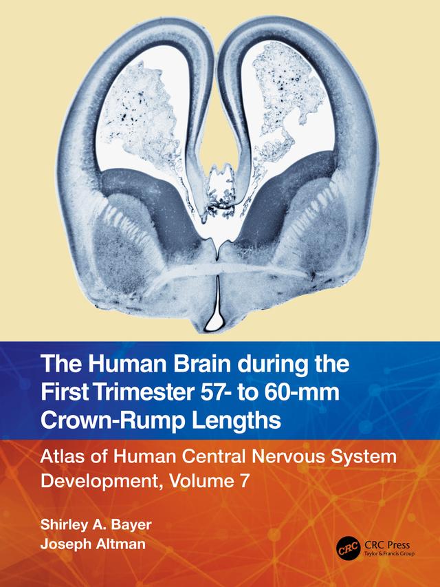 The Human Brain during the First Trimester 57- to 60-mm Crown-Rump Lengths by Joseph Altman, Shirley A. Bayer