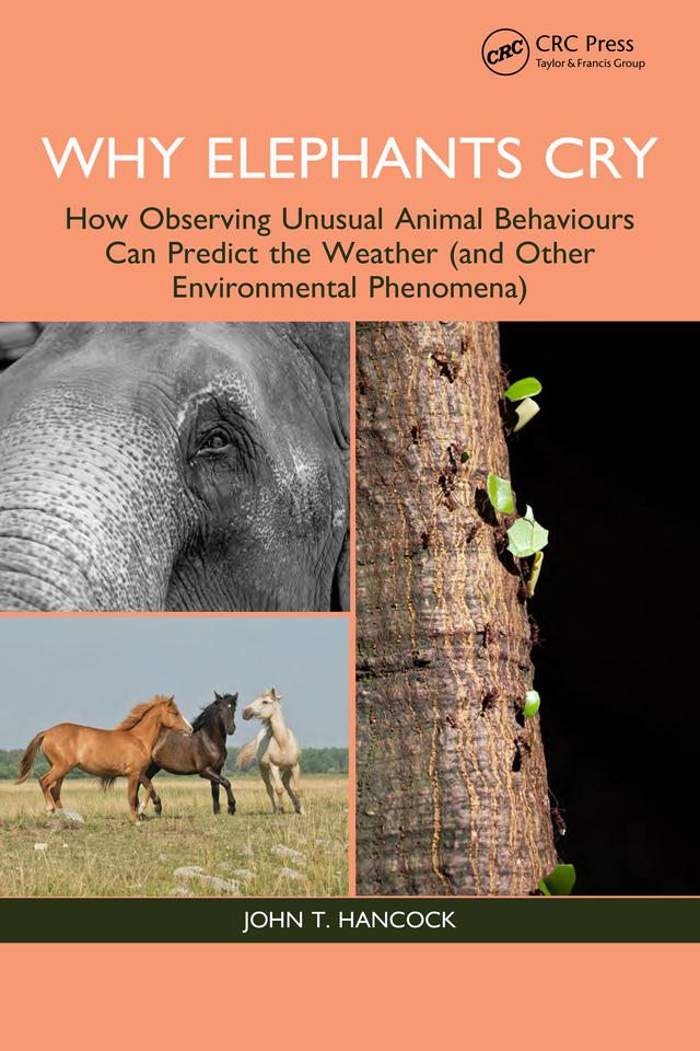 Why Elephants Cry by John T. Hancock