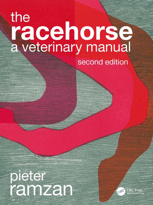 The Racehorse by Piet Ramzan