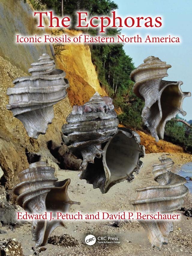 The Ecphoras by David P. Berschauer, Edward J. Petuch