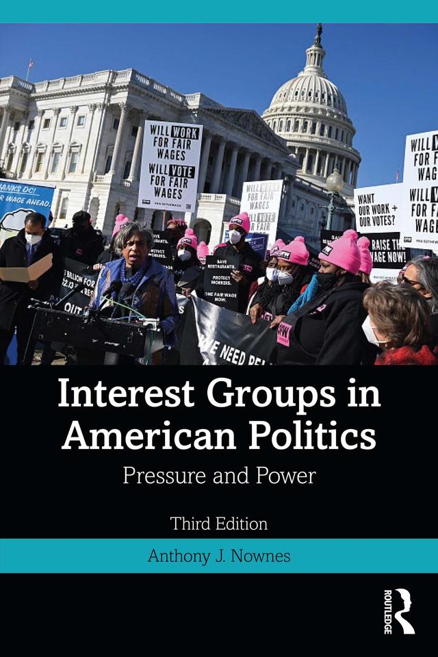 Interest Groups in American Politics by Anthony J. Nownes