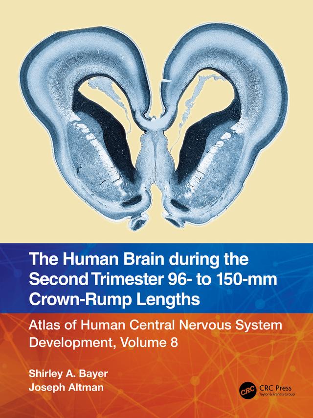 The Human Brain during the Second Trimester 96– to 150–mm Crown-Rump Lengths by Joseph Altman, Shirley A. Bayer