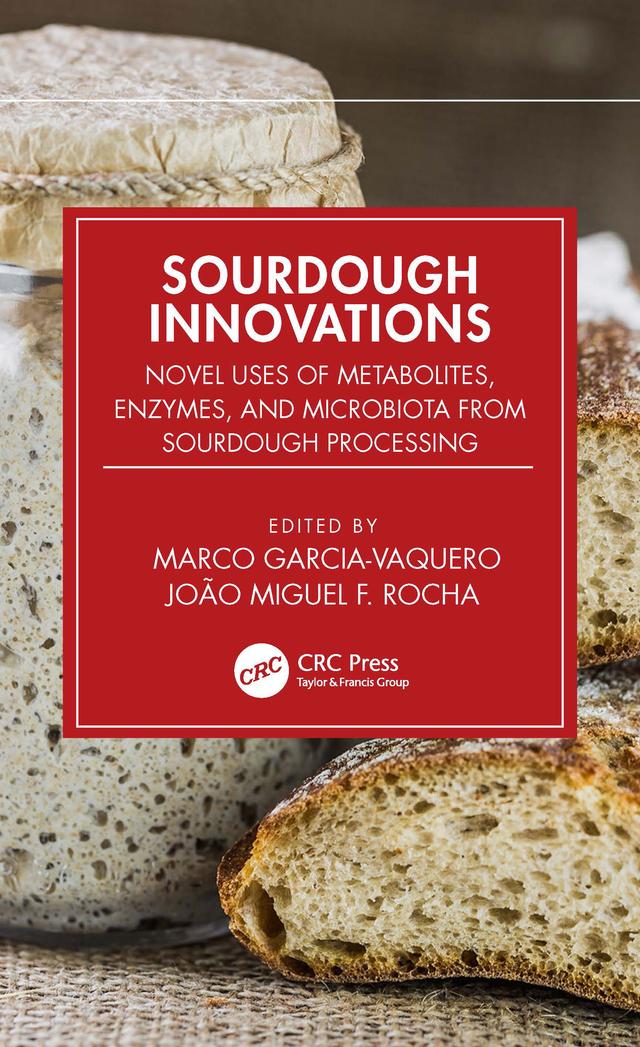 Sourdough Innovations by João Miguel F. Rocha, Marco Garcia-Vaquero