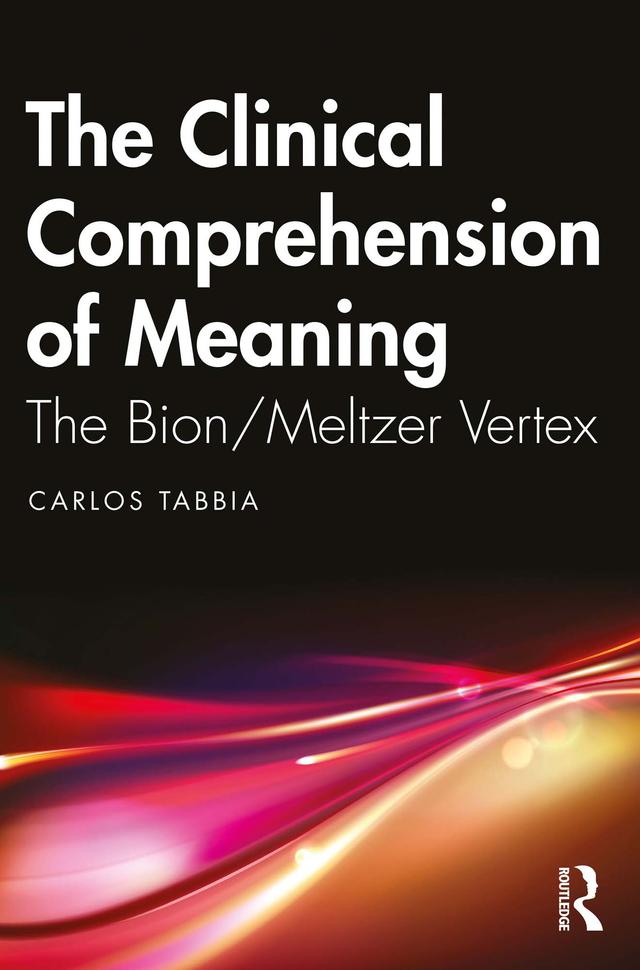 The Clinical Comprehension of Meaning by Carlos Tabbia