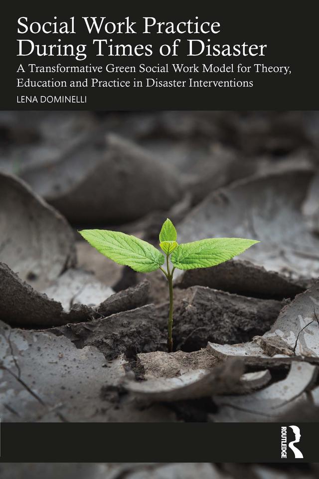 Social Work Practice During Times of Disaster by Lena Dominelli