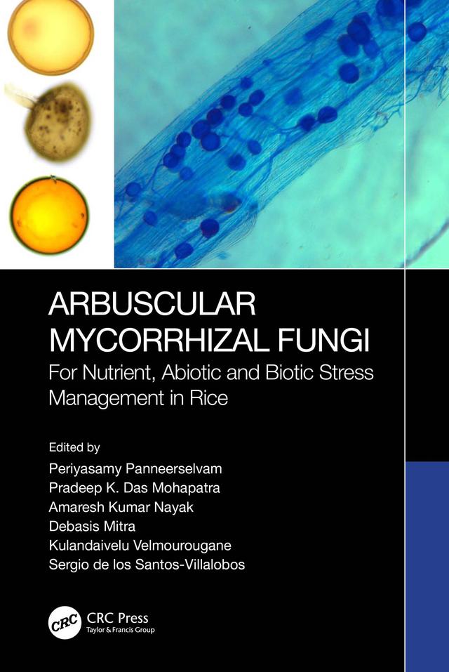 Arbuscular Mycorrhizal Fungi by Amaresh Kumar Nayak, Debasis Mitra, Kulandaivelu Velmourougane, Periyasamy Panneerselvam, Pradeep Kumar Das Mohapatra, Sergio De Los Santos-Villalobos