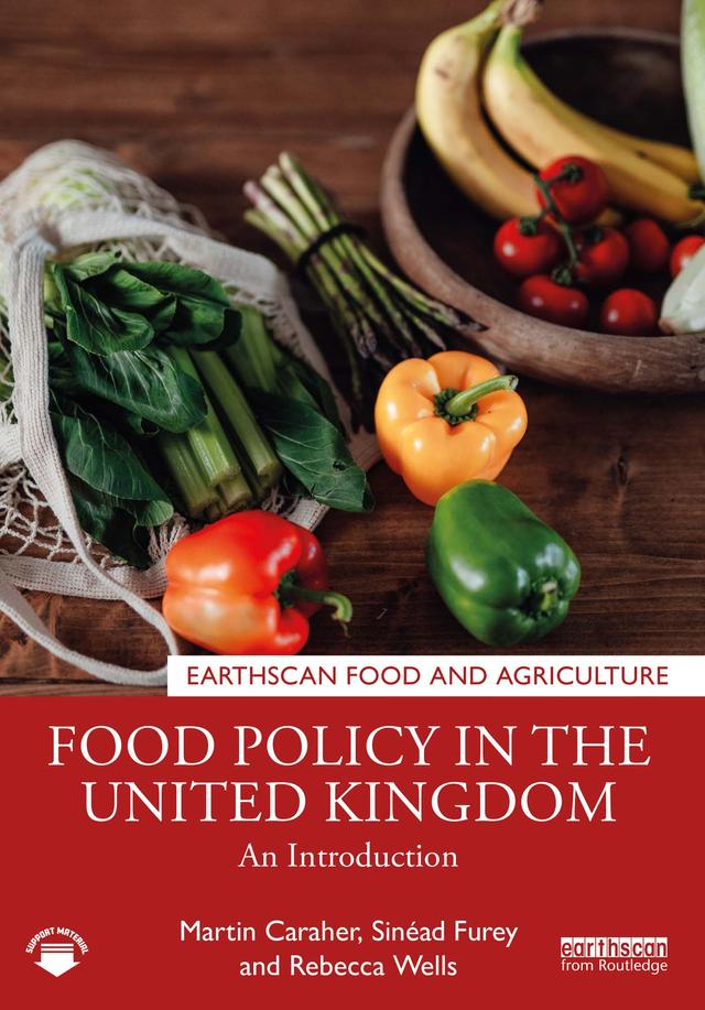 Food Policy in the United Kingdom by Martin Caraher, Rebecca Wells, Sinéad Furey