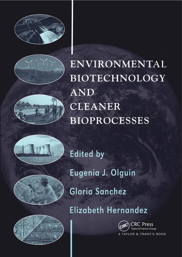 Environmental Biotechnology and Cleaner Bioprocesses by Elizabeth Hernandez, Gloria Sanchez