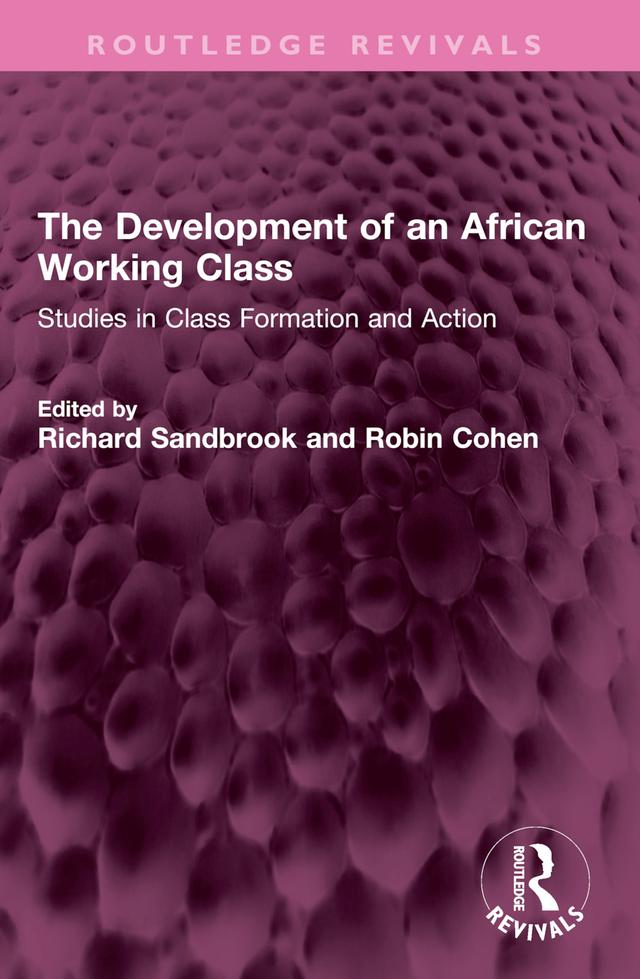 The Development of an African Working Class by Richard Sandbrook, Robin Cohen