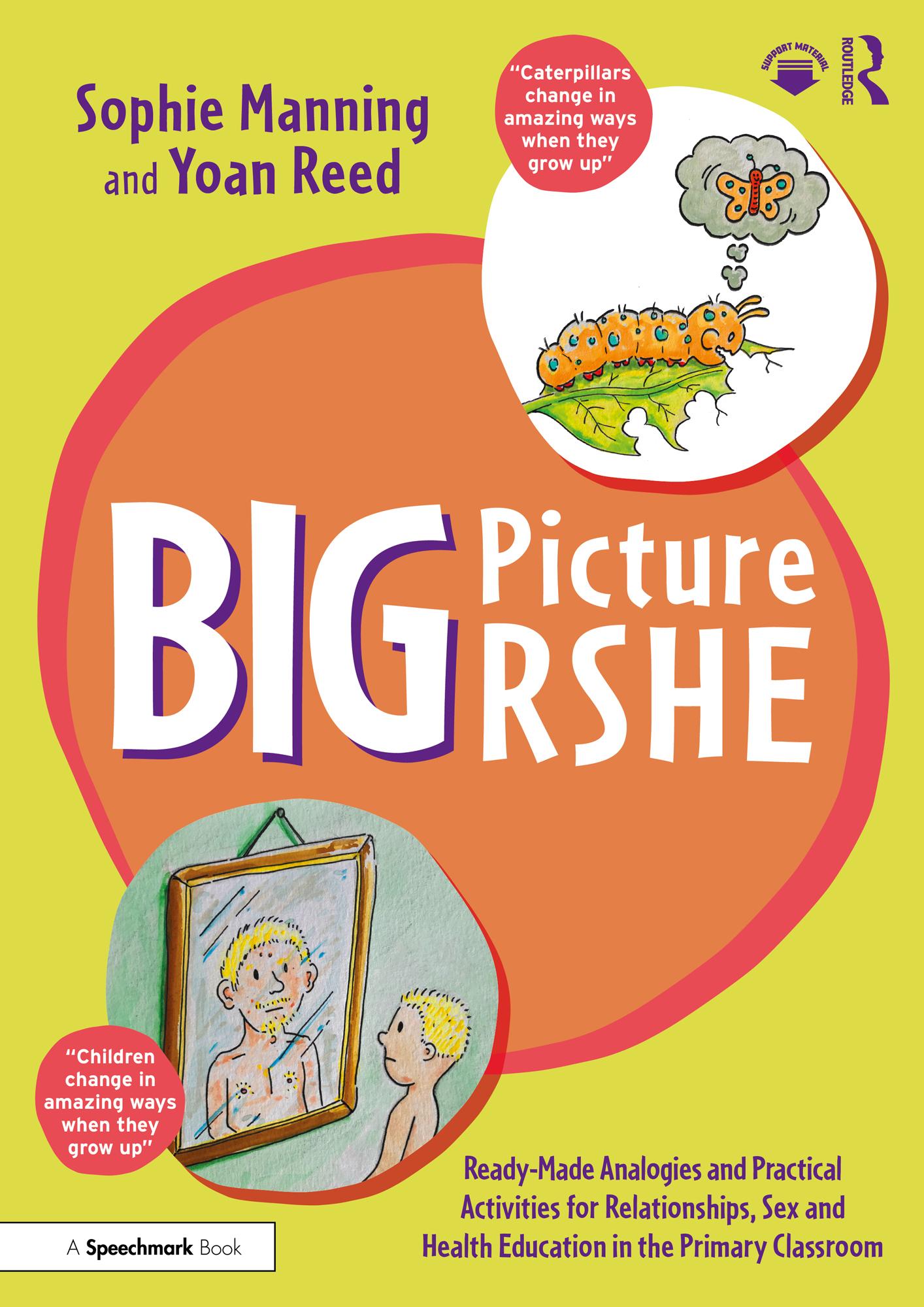 Big Picture RSHE