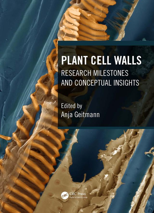 Plant Cell Walls by Anja Geitmann