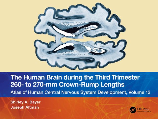 The Human Brain during the Third Trimester 260– to 270–mm Crown-Rump Lengths by Joseph Altman, Shirley A. Bayer