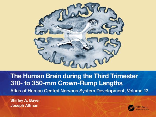 The Human Brain during the Third Trimester 310– to 350–mm Crown-Rump Lengths by Joseph Altman, Shirley A. Bayer
