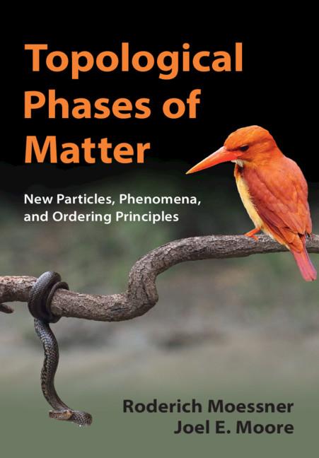 Topological Phases of Matter by Joel E. Moore, Roderich Moessner