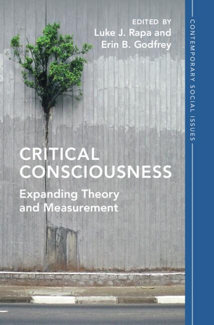 Critical Consciousness by Erin B. Godfrey, Luke J. Rapa