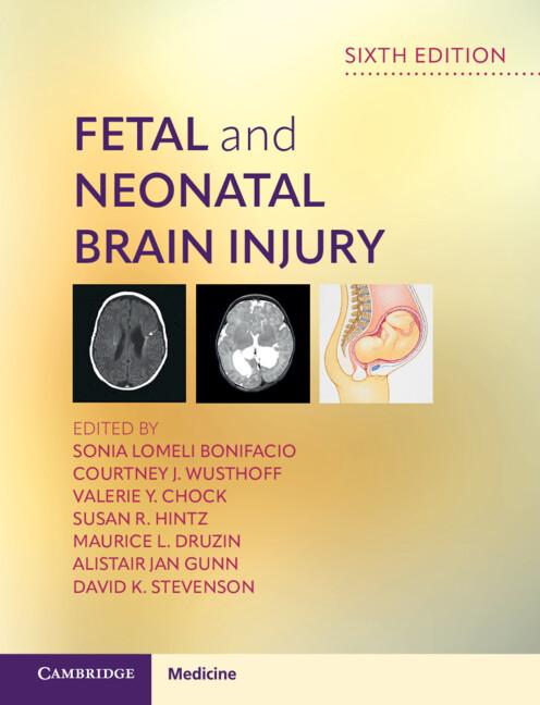 Fetal and Neonatal Brain Injury by Alistair Jan Gunn, Courtney J. Wusthoff, David K. Stevenson, Maurice L. Druzin, Sonia Lomeli Bonifacio, Susan R. Hintz, Valerie Y. Chock