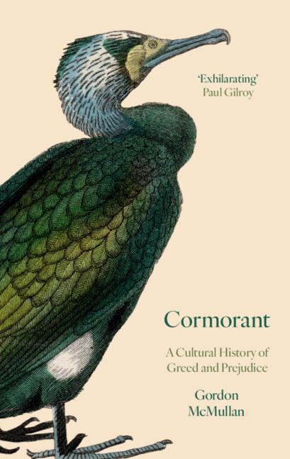 Cormorant by Gordon McMullan