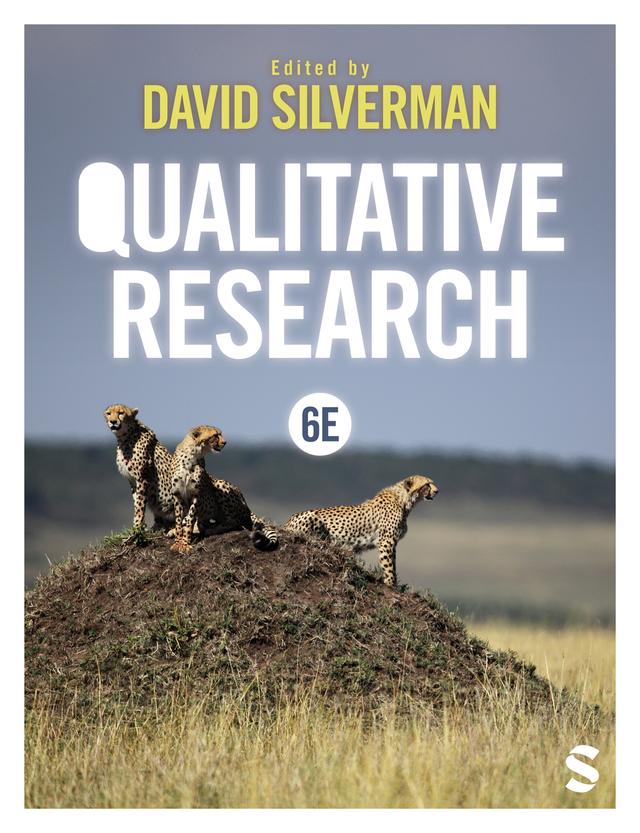 Qualitative Research by David Silverman