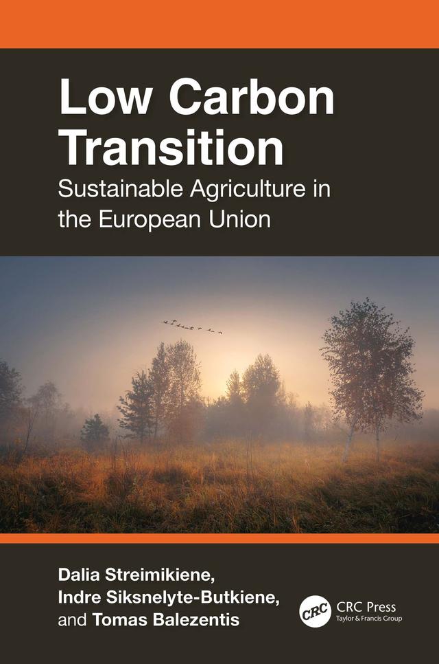 Low Carbon Transition by Dalia Streimikiene, Indre Siksnelyte-Butkiene, Tomas Balezentis