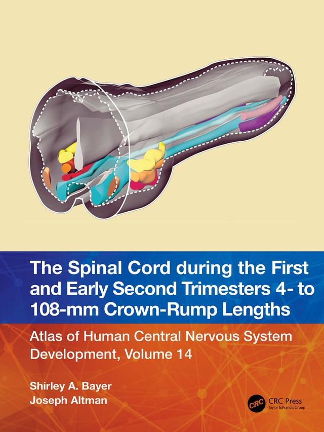 The Spinal Cord during the First and Early Second Trimesters 4- to 108-mm Crown-Rump Lengths by Joseph Altman, Shirley A. Bayer