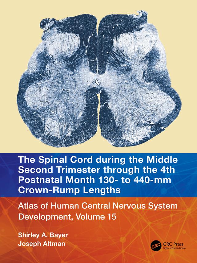 The Spinal Cord during the Middle Second Trimester through the 4th Postnatal Month 130- to 440-mm Crown-Rump Lengths by Joseph Altman, Shirley A. Bayer