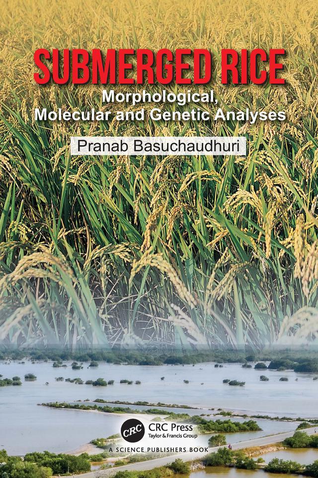 Submerged Rice by Pranab Basuchaudhuri