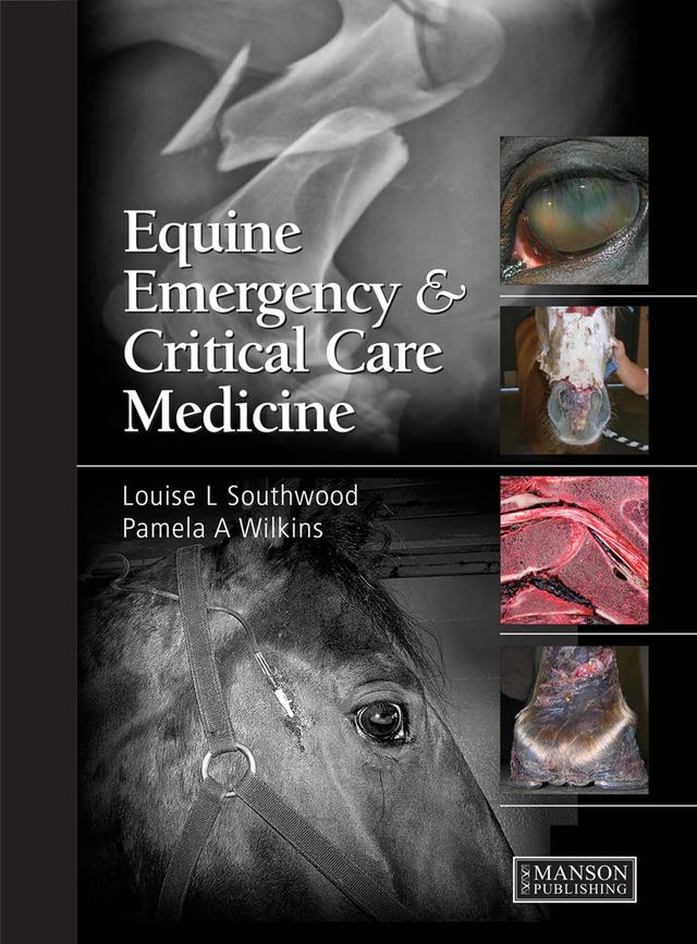 Equine Emergency and Critical Care Medicine by Louise Southwood, Pamela A. Wilkins