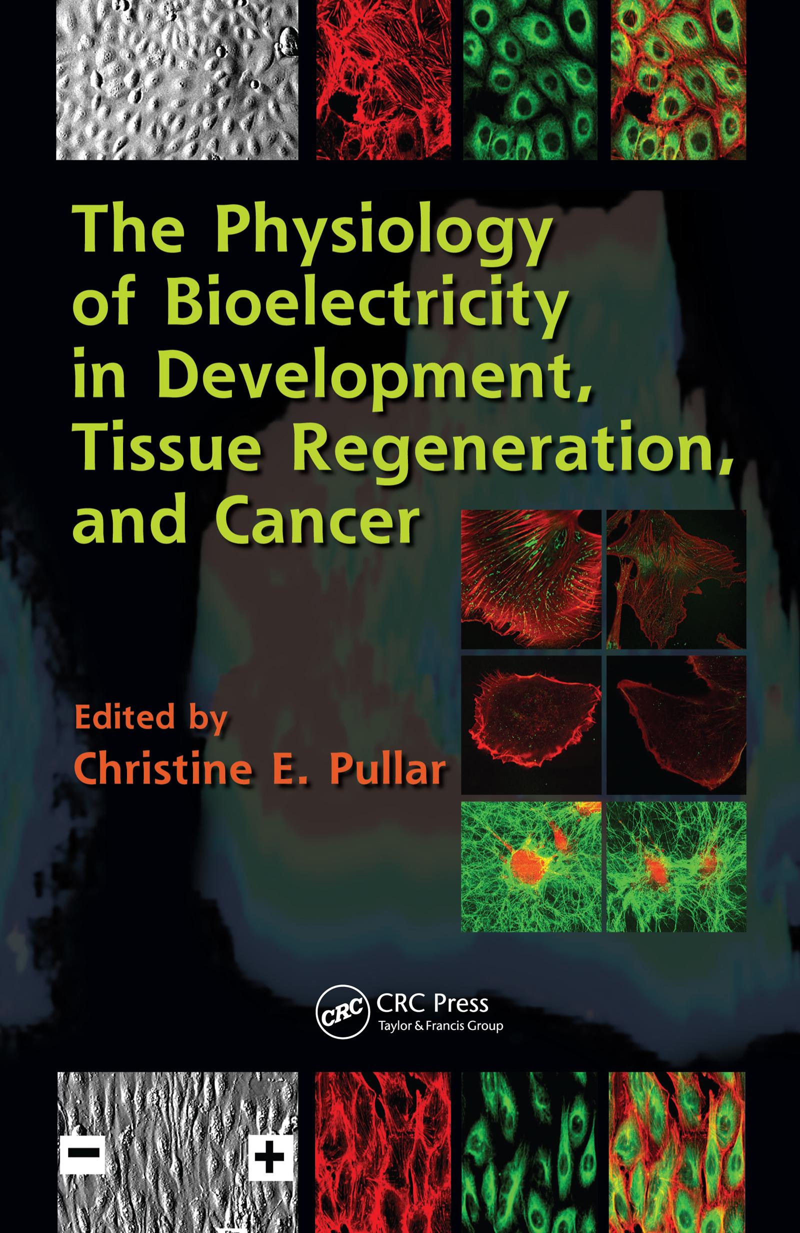 The Physiology of Bioelectricity in Development, Tissue Regeneration and Cancer