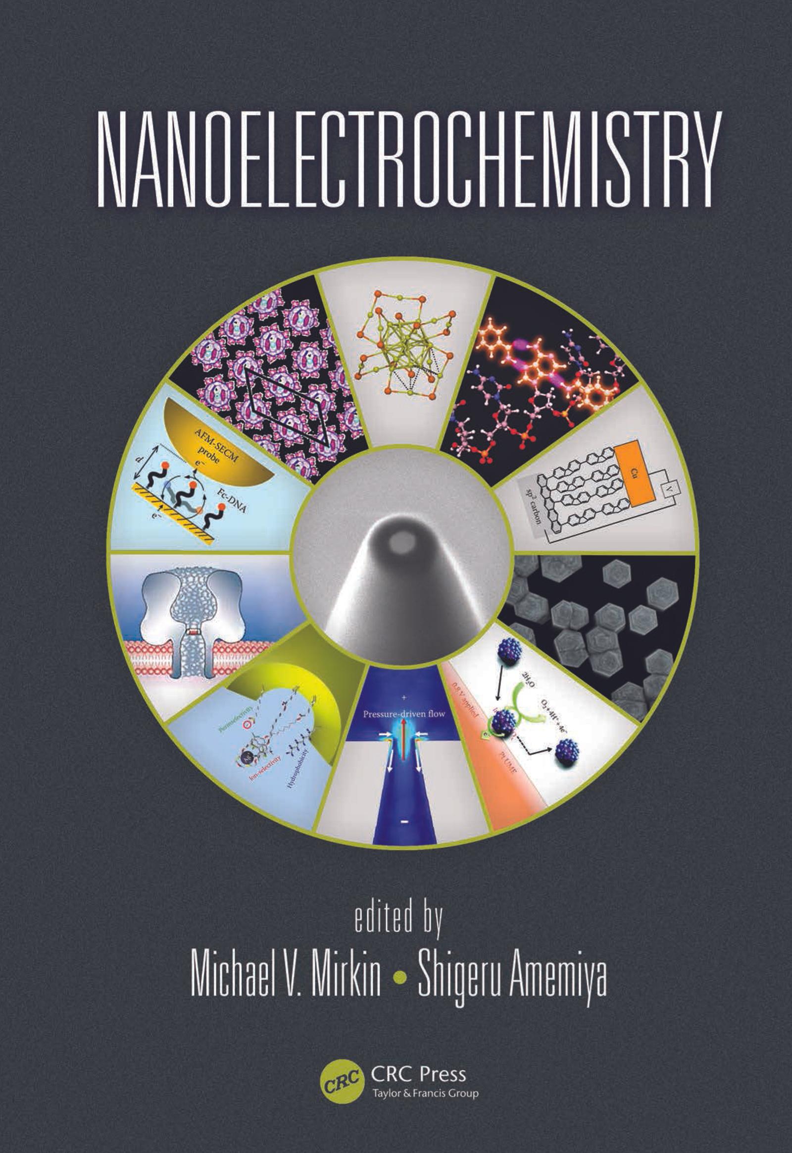 Nanoelectrochemistry