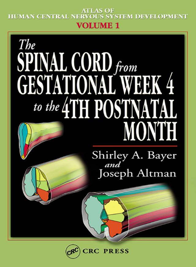 The Spinal Cord from Gestational Week 4 to the 4th Postnatal Month by Joseph Altman, Shirley A. Bayer