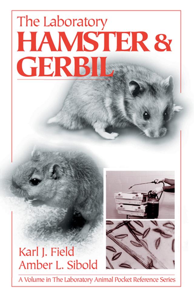 The Laboratory Hamster and Gerbil by Amber L. Sibold, Karl J. Field