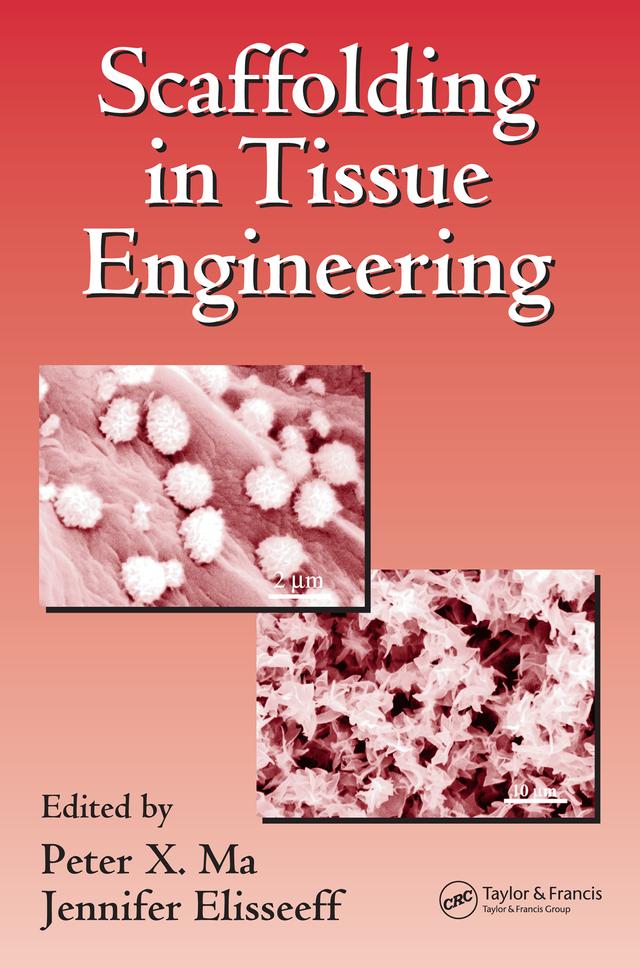 Scaffolding In Tissue Engineering by Jennifer Elisseeff, Peter X. Ma