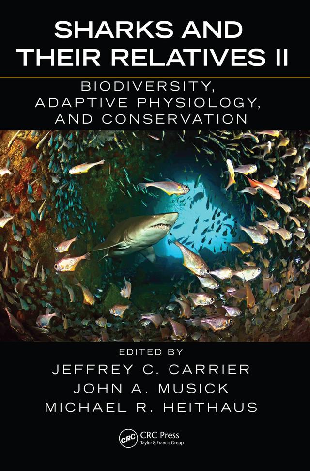 Sharks and Their Relatives II by Jeffrey C. Carrier, John A. Musick, Michael R. Heithaus