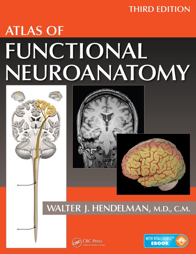 Atlas of Functional Neuroanatomy by Walter Hendelman M.D.