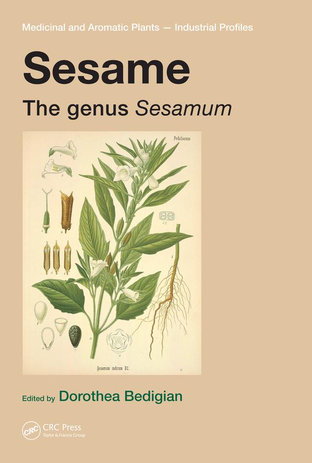 Sesame by Dorothea Bedigian