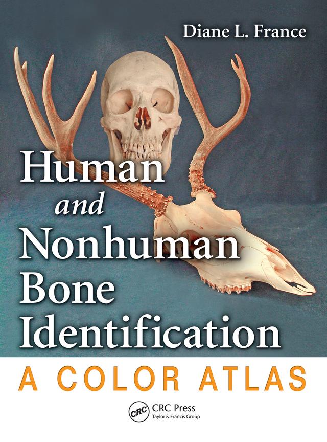 Human and Nonhuman Bone Identification by Diane L. France