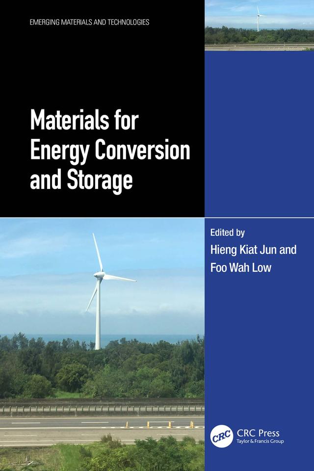 Materials for Energy Conversion and Storage by Foo Wah Low, Hieng Kiat Jun