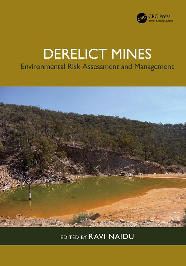 Derelict Mines by Ravi Naidu