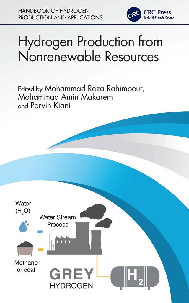 Hydrogen Production from Nonrenewable Resources by Mohammad Amin Makarem, Mohammad Reza Rahimpour, Parvin Kiani
