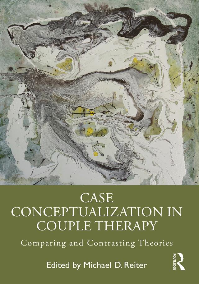 Case Conceptualization in Couple Therapy by Michael D Reiter
