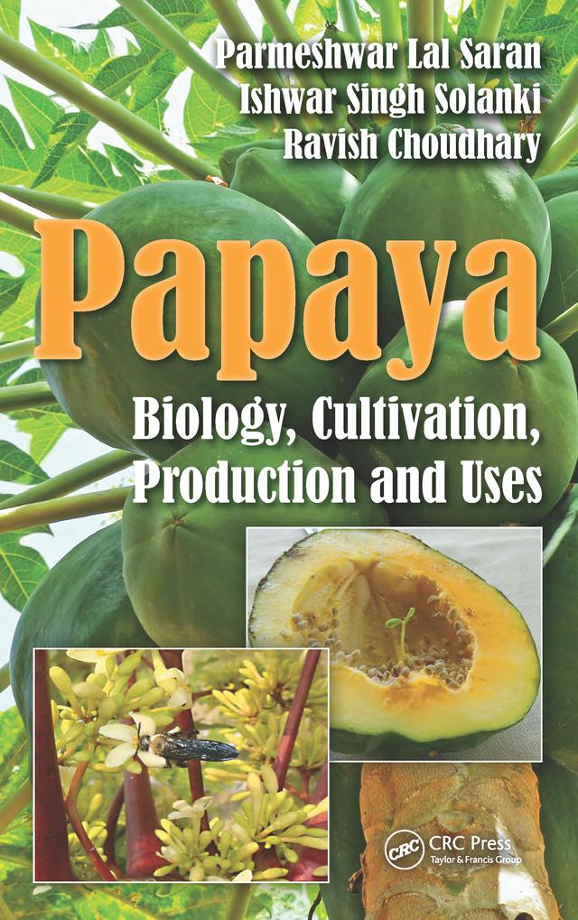 Papaya by Ishwar Singh Solanki, Parmeshwar Lal Saran, Ravish Choudhary