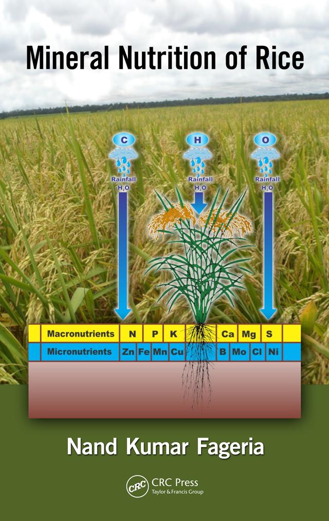 Mineral Nutrition of Rice by N.K. Fageria