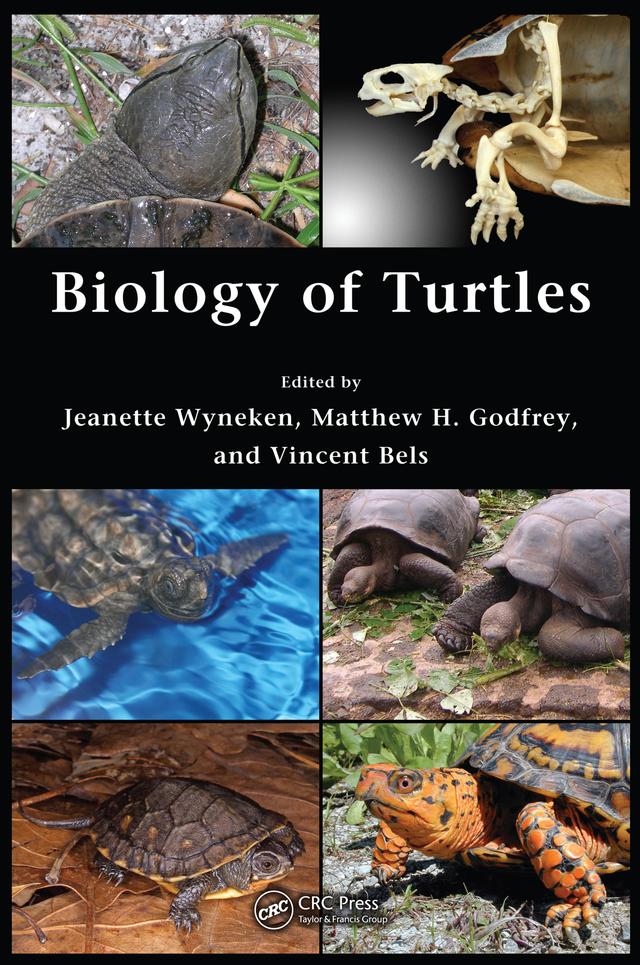 Biology of Turtles by Jeanette Wyneken, Matthew H. Godfrey, Vincent Bels