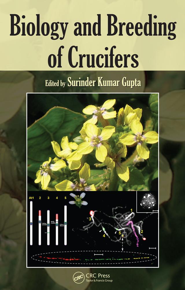 Biology and Breeding of Crucifers by Surinder Kumar Gupta