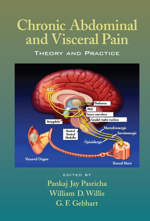 Chronic Abdominal and Visceral Pain by G. F. Gebhart, Pankaj Jay Pasricha, William D. Willis