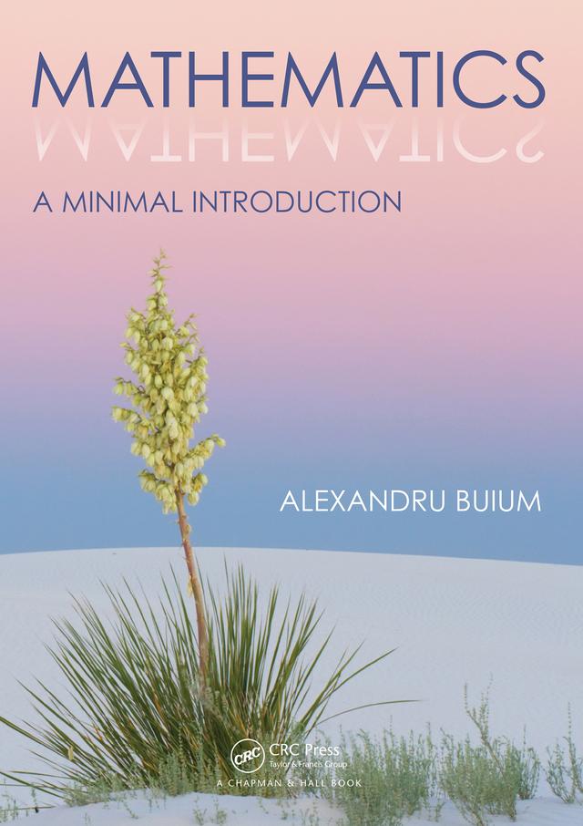 Mathematics by Alexandru Buium