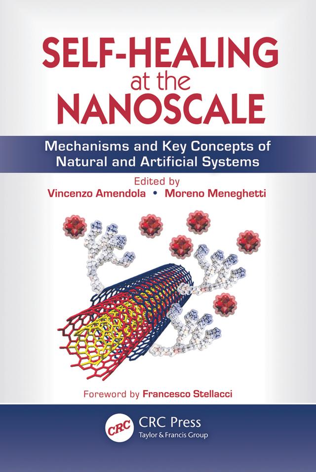Self-Healing at the Nanoscale by Moreno Meneghetti, Vincenzo Amendola