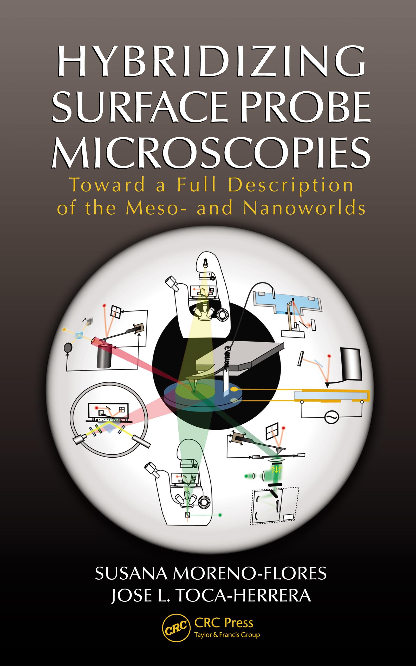 Hybridizing Surface Probe Microscopies